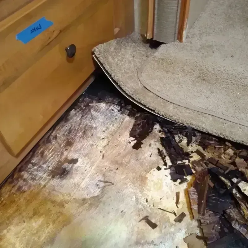 Wood Floor Water Damage in North Laurel, MD